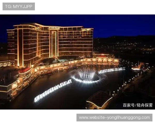 掌握永利皇宫手机官方地址查询技巧确保每次安全登录