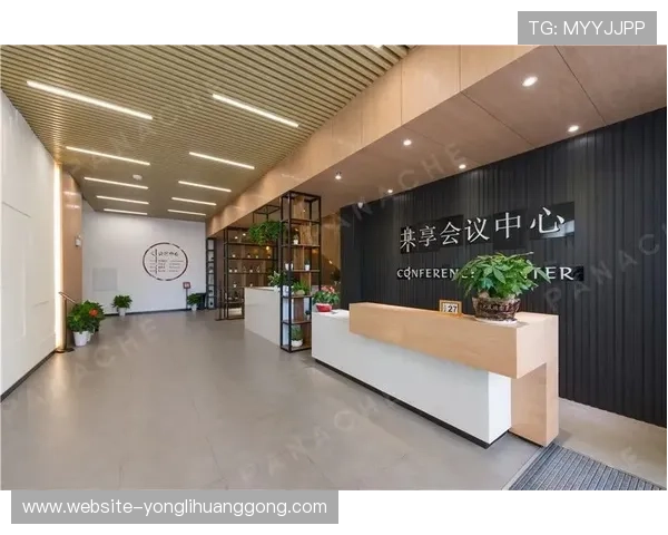 澳门贵宾厅与大厅的主要差异分析,帮助您选择最合适的休闲空间