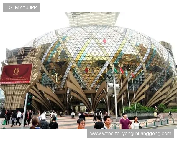 澳门赌场年龄比例统计报告:各年龄层玩家的消费习惯与未来发展建议