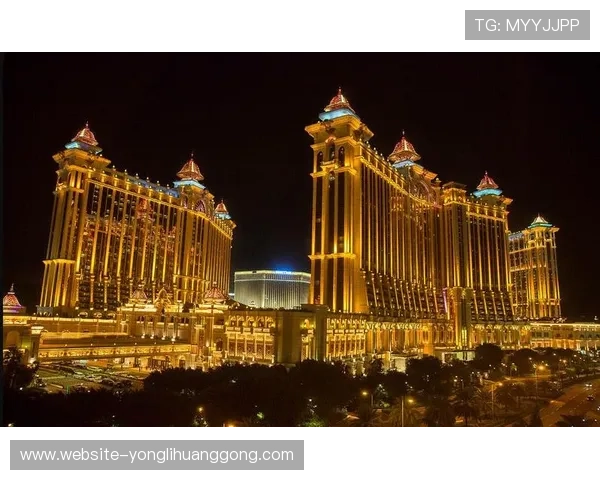 澳门金尊赌场的专业博彩环境助你实现财富增值梦想